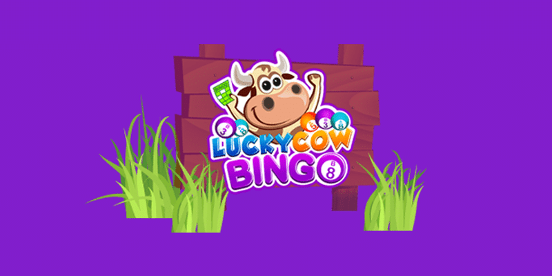 Luckycow Bingo