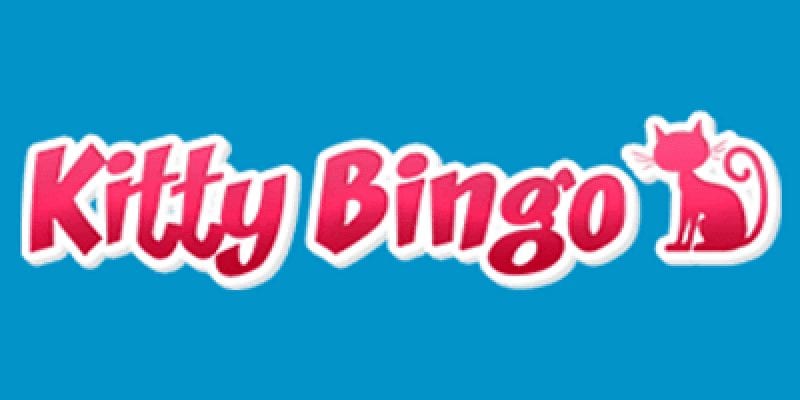 Kitty Bingo